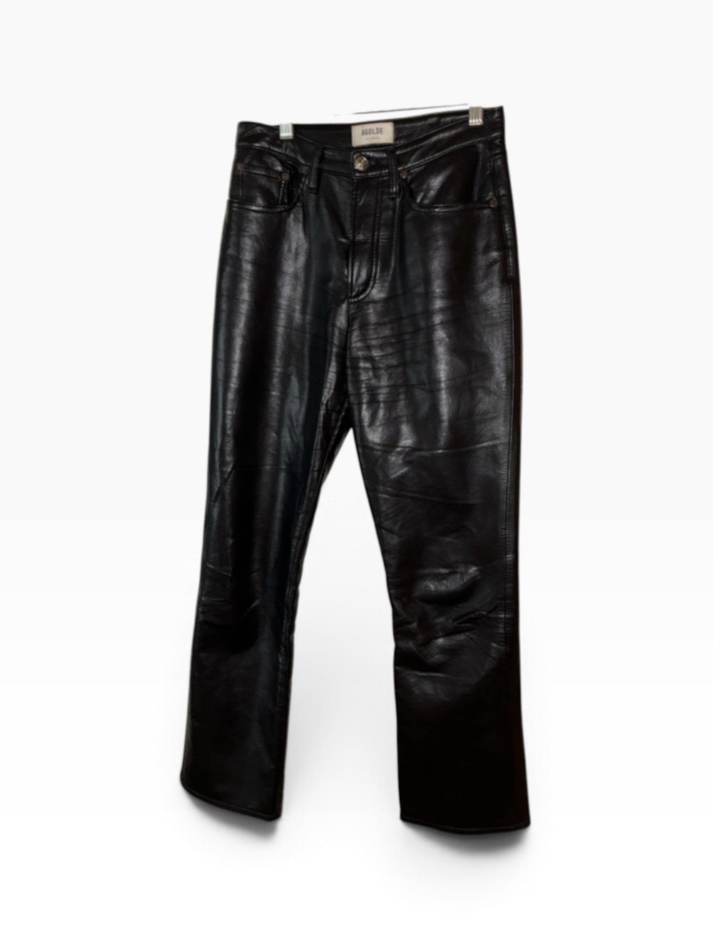 AGOLDE High Rise Recycled Leather Relaxed Boot Pant in Detox Sz 25